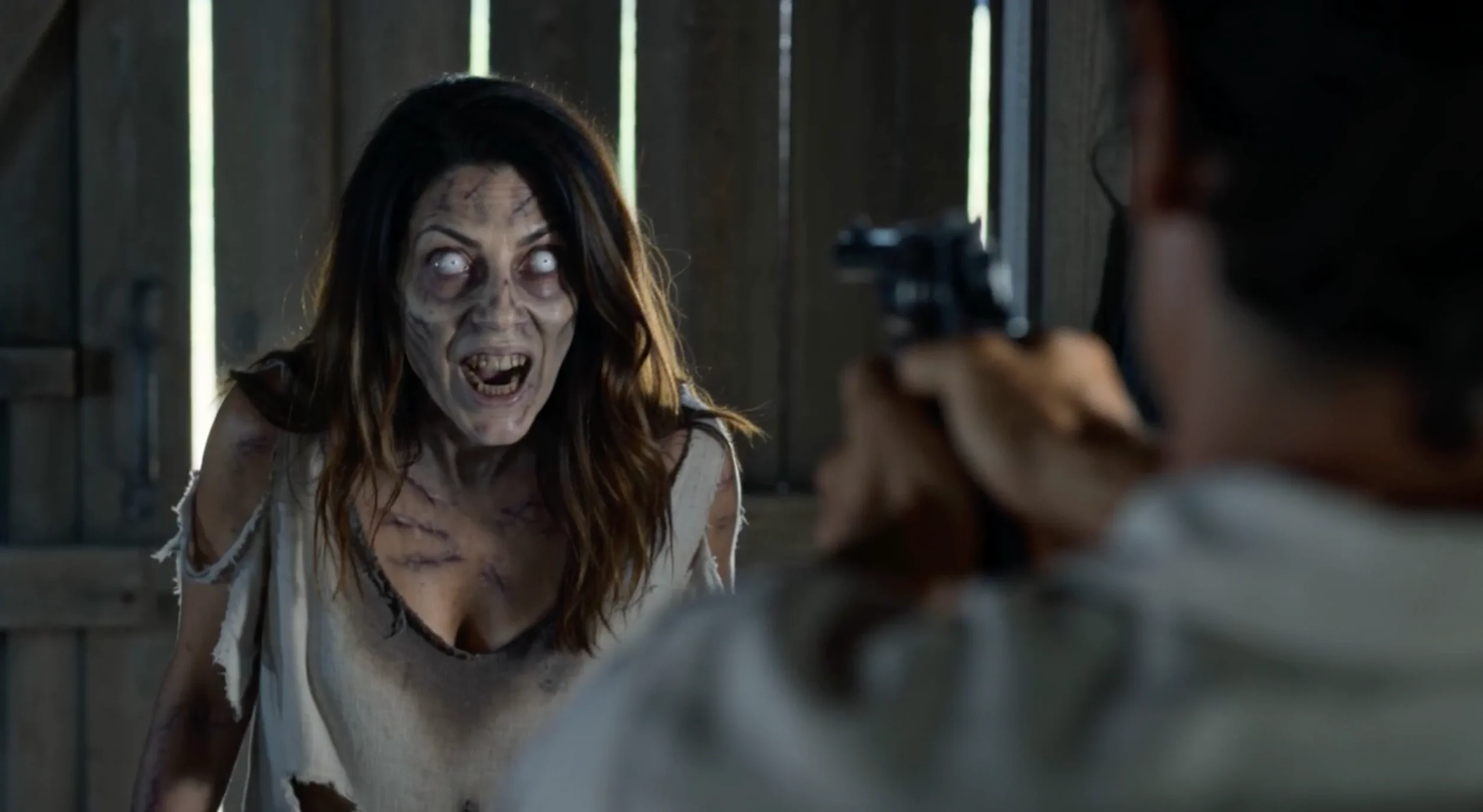 A zombie facing the survivor across the cabin, seen over the survivor’s shoulder